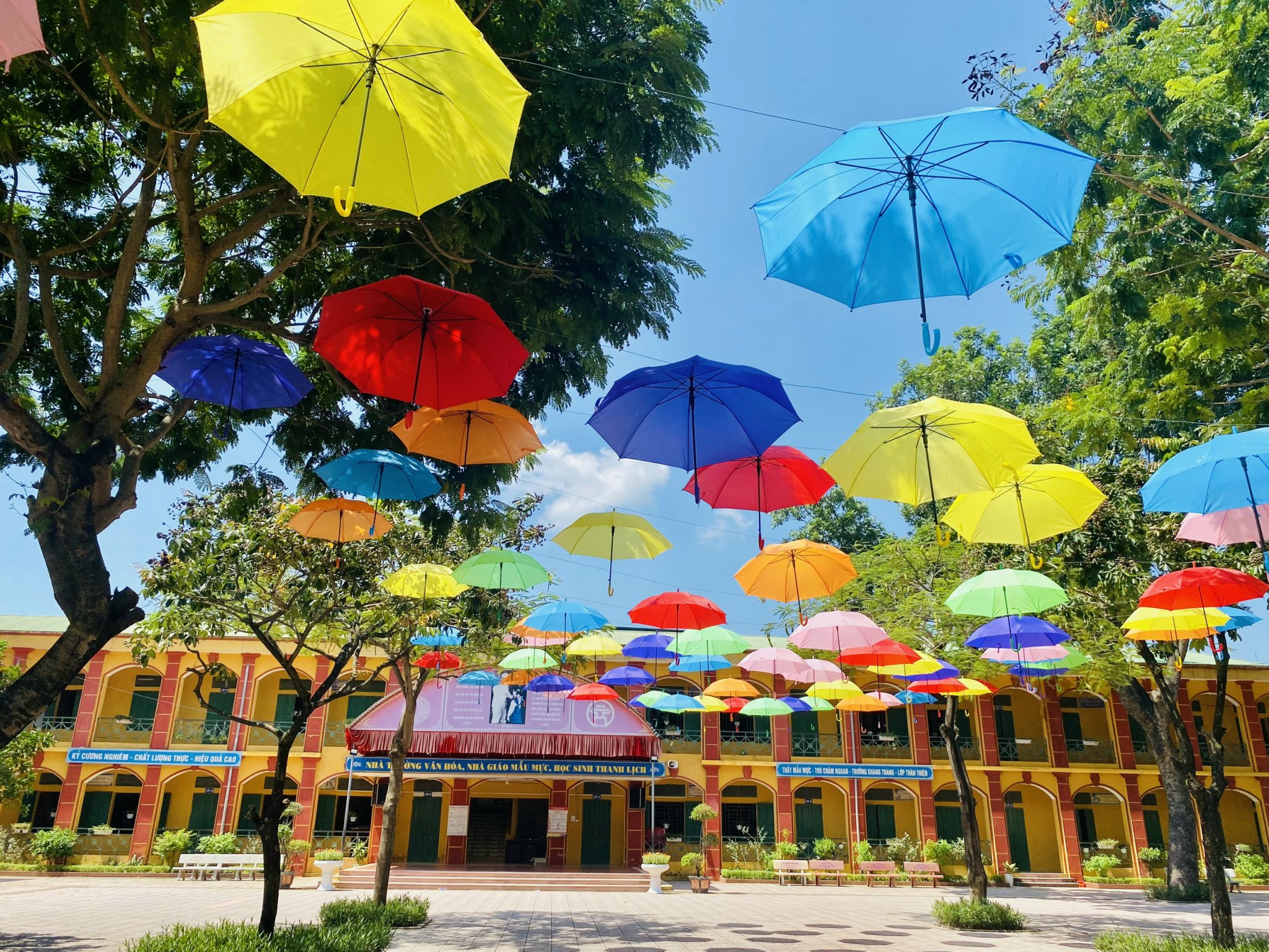 Tiểu học Dị Nậu