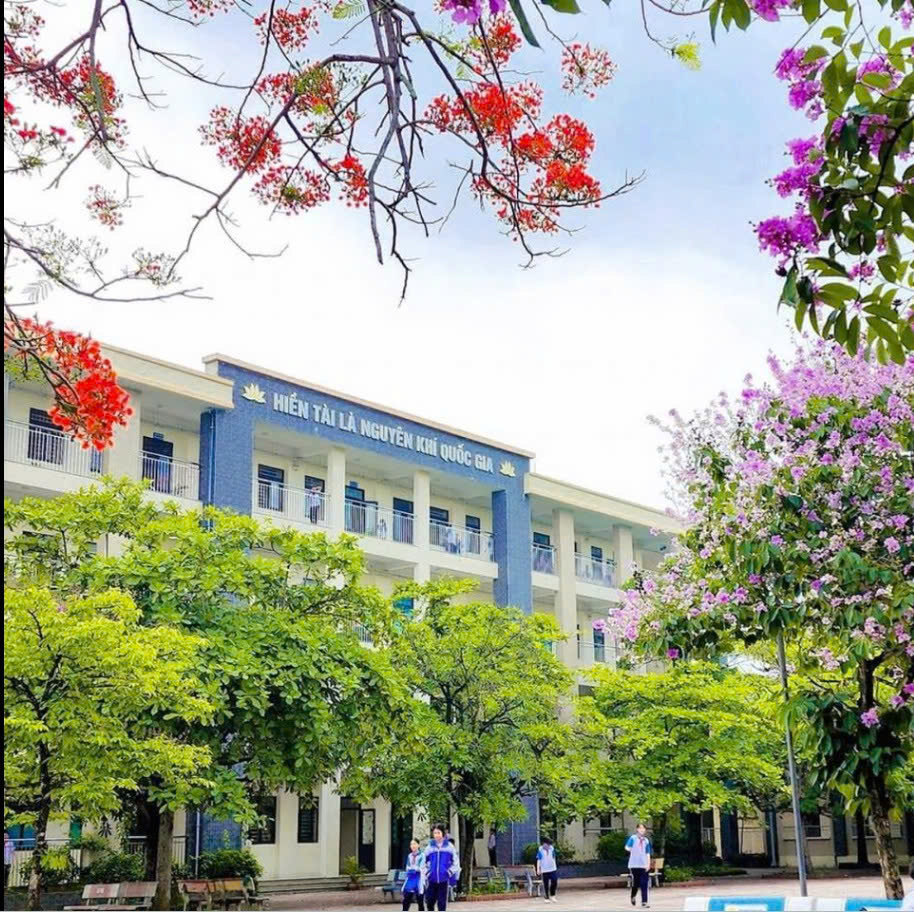 THCS Xuân Mai B